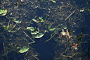 BUITEN BEELD Foto: 439742