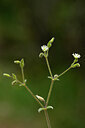 BUITEN BEELD Foto: 439746
