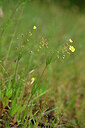 BUITEN BEELD Foto: 439747
