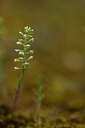 BUITEN BEELD Foto: 439748