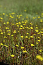 BUITEN BEELD Foto: 439749