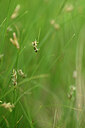 BUITEN BEELD Foto: 439751