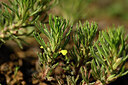 BUITEN BEELD Foto: 439752