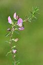 BUITEN BEELD Foto: 439753
