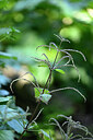 BUITEN BEELD Foto: 439760