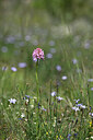 BUITEN BEELD Foto: 439774