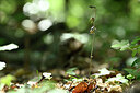 BUITEN BEELD Foto: 439776