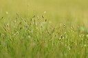 BUITEN BEELD Foto: 439778