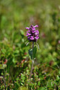 BUITEN BEELD Foto: 439782