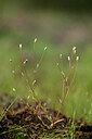 BUITEN BEELD Foto: 439783