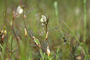 BUITEN BEELD Foto: 439786