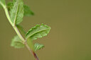 BUITEN BEELD Foto: 439789