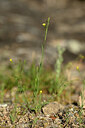 BUITEN BEELD Foto: 439798