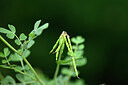 BUITEN BEELD Foto: 439816