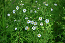 BUITEN BEELD Foto: 439818