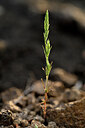 BUITEN BEELD Foto: 439820