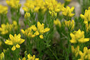 BUITEN BEELD Foto: 439821