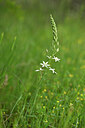 BUITEN BEELD Foto: 439825