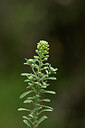 BUITEN BEELD Foto: 439826