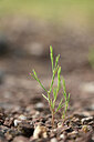 BUITEN BEELD Foto: 439827