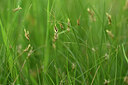 BUITEN BEELD Foto: 439828