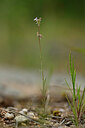 BUITEN BEELD Foto: 439829