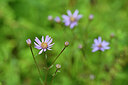 BUITEN BEELD Foto: 439834