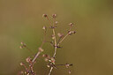 BUITEN BEELD Foto: 439835