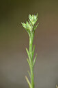 BUITEN BEELD Foto: 439837