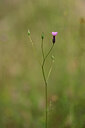 BUITEN BEELD Foto: 439840