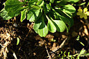 BUITEN BEELD Foto: 439843