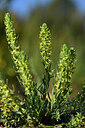 BUITEN BEELD Foto: 439844