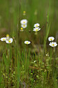 BUITEN BEELD Foto: 439845