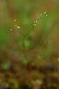 BUITEN BEELD Foto: 439847