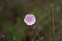 BUITEN BEELD Foto: 439848