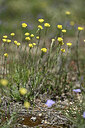 BUITEN BEELD Foto: 439850