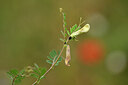 BUITEN BEELD Foto: 439854