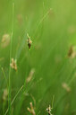 BUITEN BEELD Foto: 439856