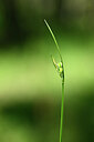 BUITEN BEELD Foto: 439859