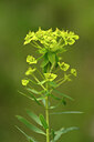 BUITEN BEELD Foto: 439860