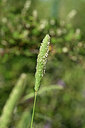 BUITEN BEELD Foto: 439863
