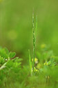 BUITEN BEELD Foto: 439872