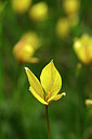 BUITEN BEELD Foto: 439873