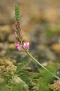 BUITEN BEELD Foto: 439874