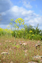 BUITEN BEELD Foto: 439876