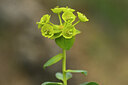 BUITEN BEELD Foto: 439877
