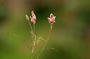 BUITEN BEELD Foto: 439884