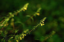 BUITEN BEELD Foto: 439885