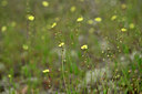 BUITEN BEELD Foto: 439894
