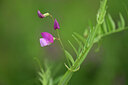 BUITEN BEELD Foto: 439895